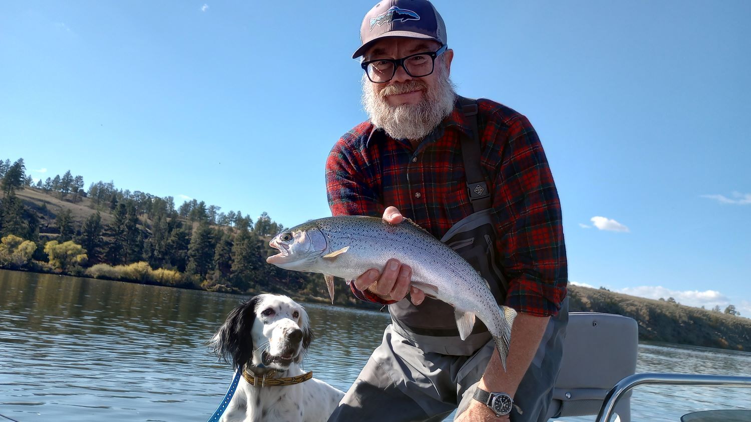 Fish 4